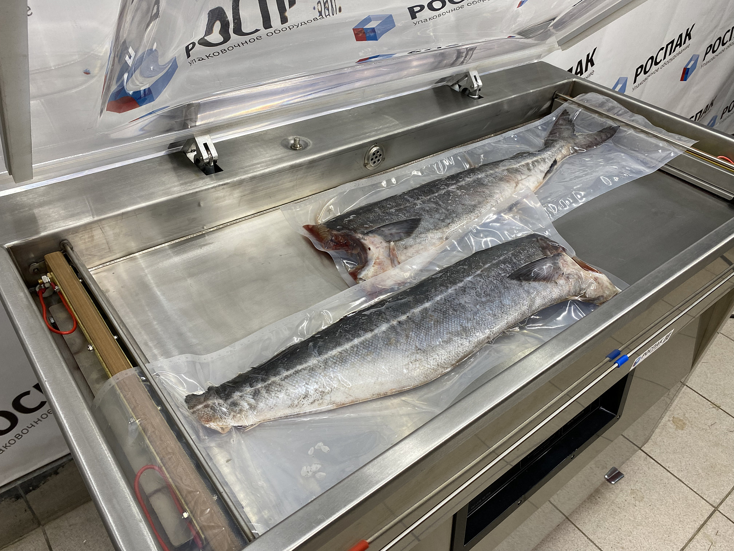Вакуумная упаковка крупной рыбы: сохранение свежести и герметичности продукта